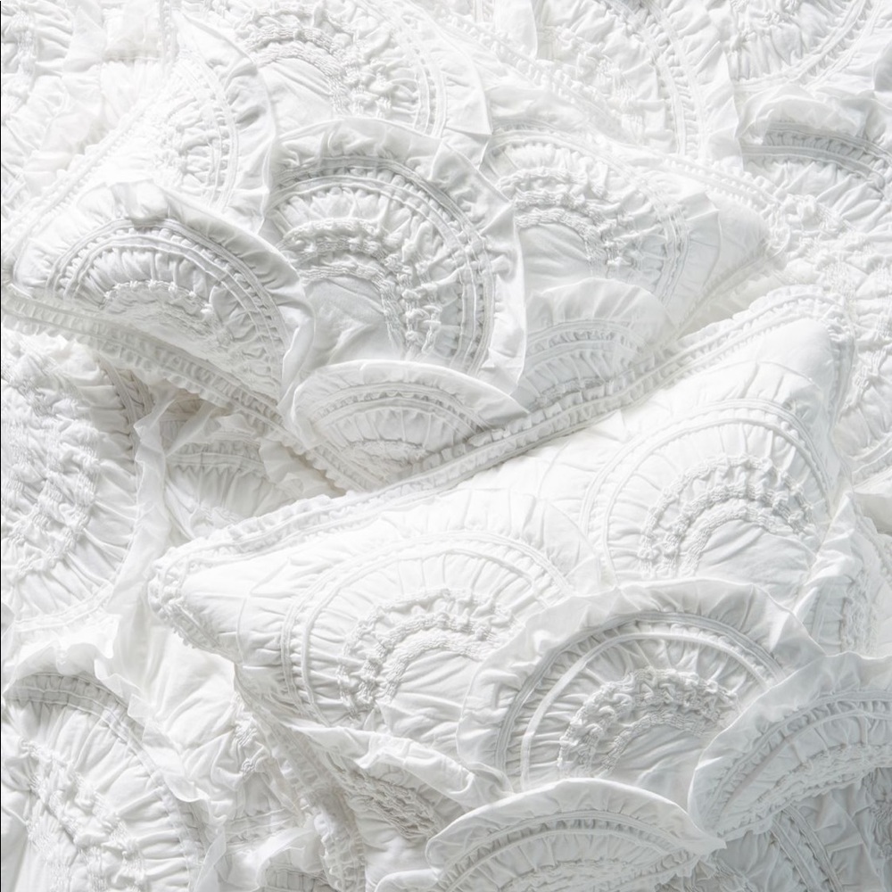 Set of 2 King Rivulets Shams